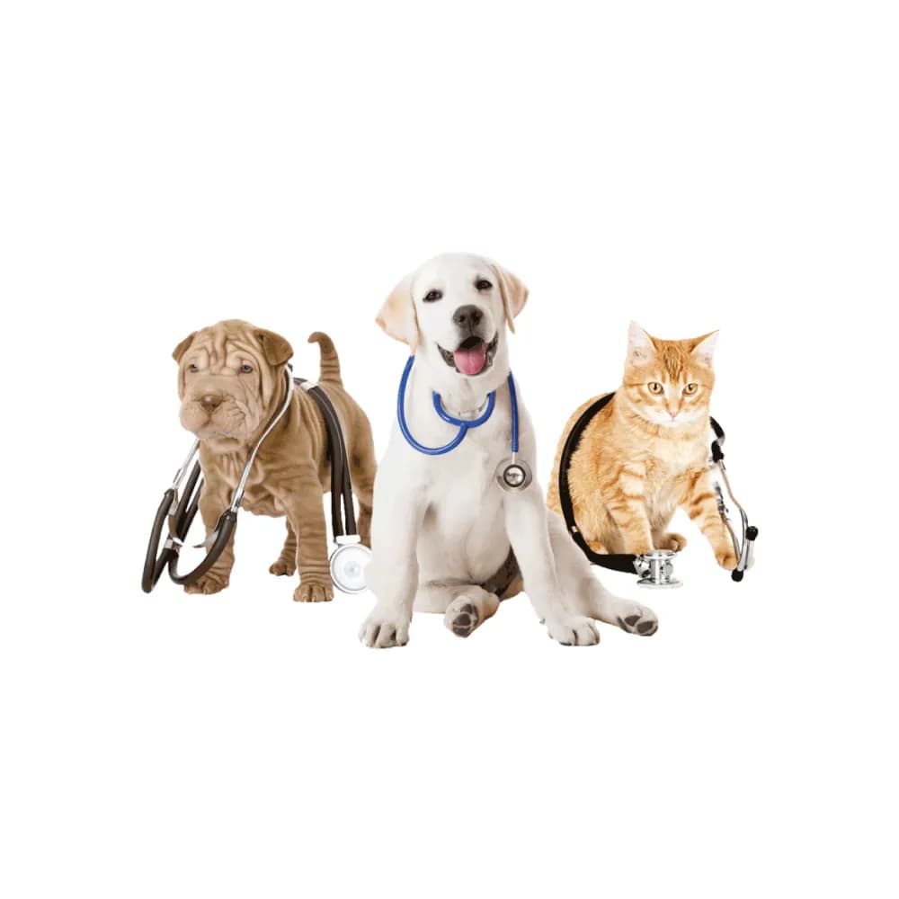 VETERINARIYA VA BIOXAVFSIZLIK